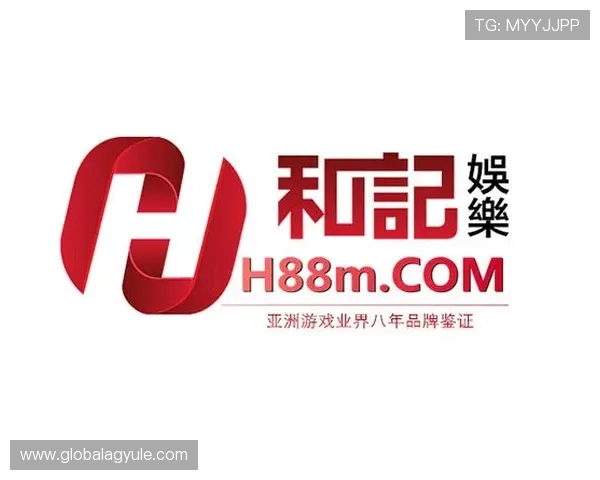 全面解析AG电子游戏官网的安全保障措施与玩家权益保护策略